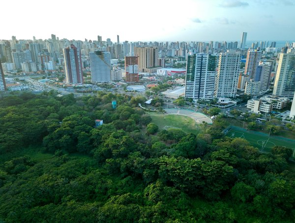 L'agriculture de demain : Réduire les pesticides pour un futur durable ?
